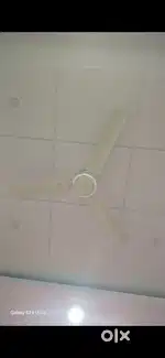 Ceiling fan