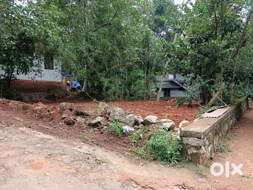 7.5 cent House plot for sale near Nellimoodu junction.
