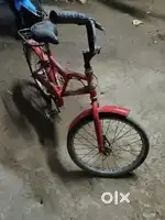 Allwyn Cycle