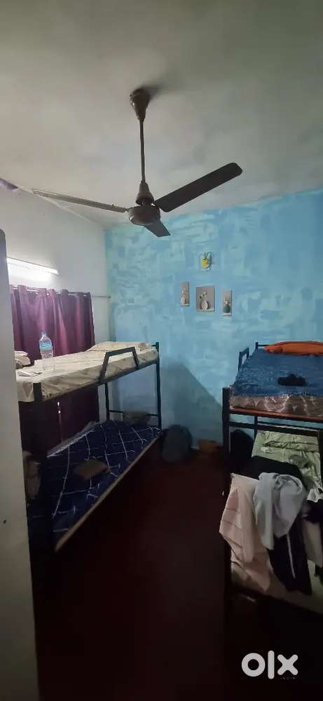 Working women and students pg