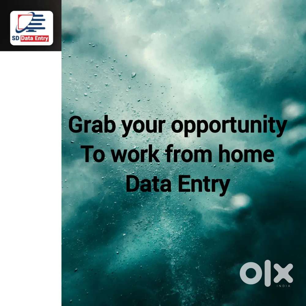Grab your opportunity to Data Entry Work