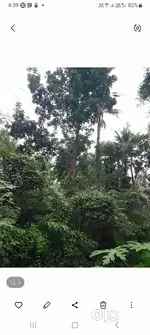 Very good plot for sale