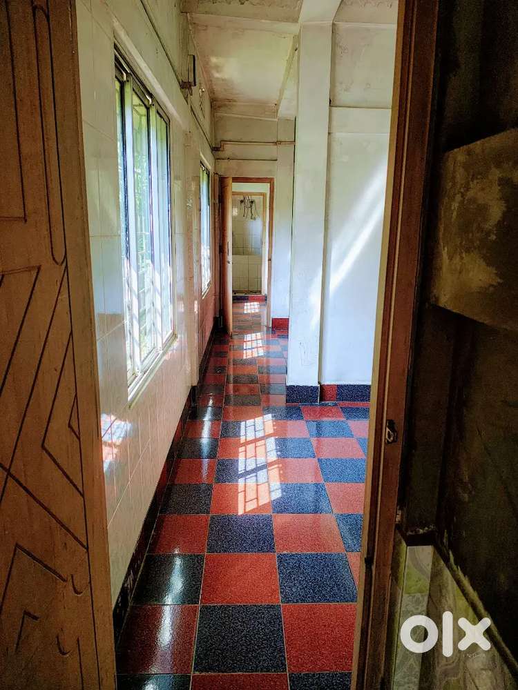 Renting the first floor for a good and decent family or bachelor