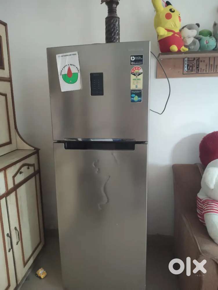 Fridge dable door
