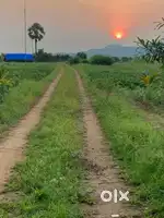 4 acres land sale near pakala
