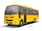Required School Bus Driver