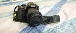 Nikon D 3100