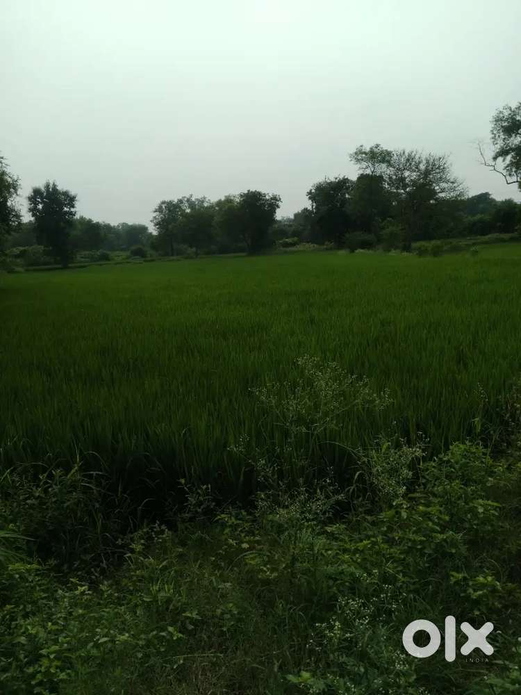 टाइम पास् वाले काल ना करें धन्यवाद