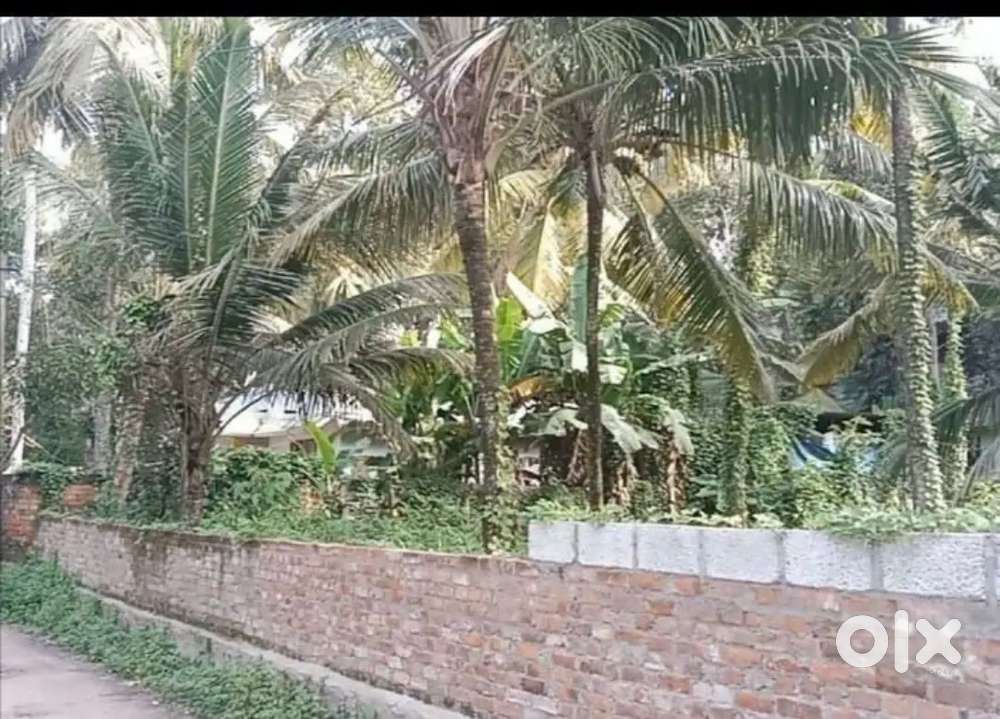 Nalanchira kottamugal main road to 350mtr 3.5cent pot