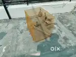 Big size cage for birds