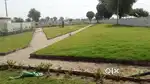 Plot in sikar