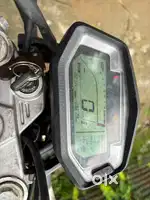 Fir urgent sale