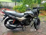 Honda Shine SP