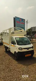 Mahendra jeeto+
