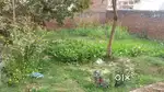 75 SQUARE YARD PLOT FOR SALE