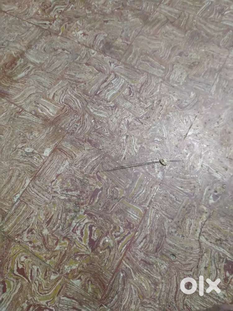 Need housemaid for home