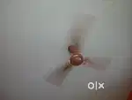 Ceiling Fan for sell