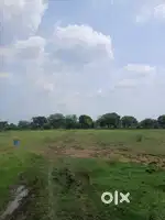 Gora bazar se 3km purtemar pur tamer road