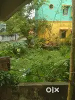 আমি ছোটো জমি কিনিব