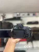 Canon 80d with double battery