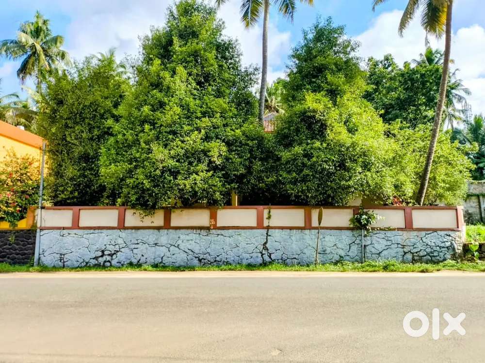 34 cent commercial/ Residental Plot for sale Piravom Town