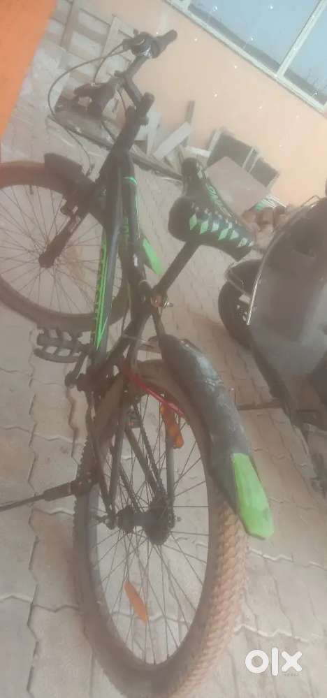 Gang company cycle for sell