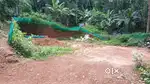 5 cent with well 8lakh/cent