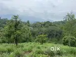 SCENIC 1 ACRE PLOT FOR RESORT OR HOMESTAY IN KOROM