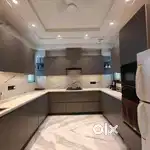 Super luxurious 3 BHK fully furnished flat in Saket