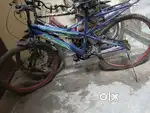 पिछले साल मैंने नया लिया था