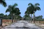 Oraiyan Horizon