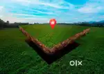 Residential Plot at Kadam Capital Town Anjora Durg