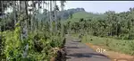 30 cent plot available just 300 mtr away from SH