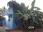 Empty patta land