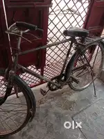 Avon cycle