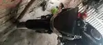 Full candisan