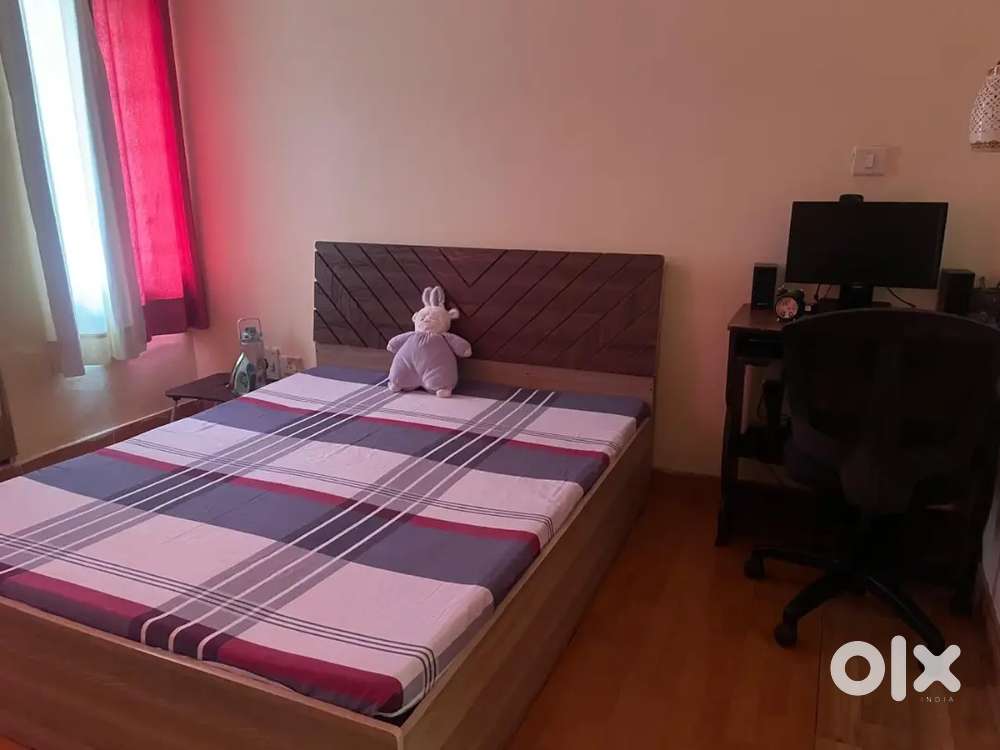 Decent PG for 2 Girls