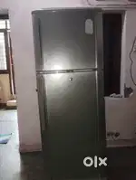 Fridge sale 1 year