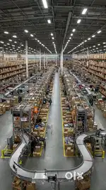 Logistics is reemploying the fresher.