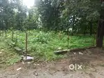 Plot available for sale