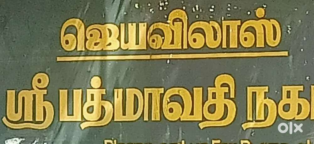 DTC approval land 30 feet corner  plot Apan Tirupati