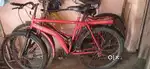 5 years old cycle