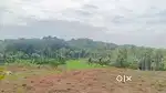 KOLENCHERY TOWN 1KM PREMIUM 60/70 CENTS SUITABLE FOR LUXURY VILLAS