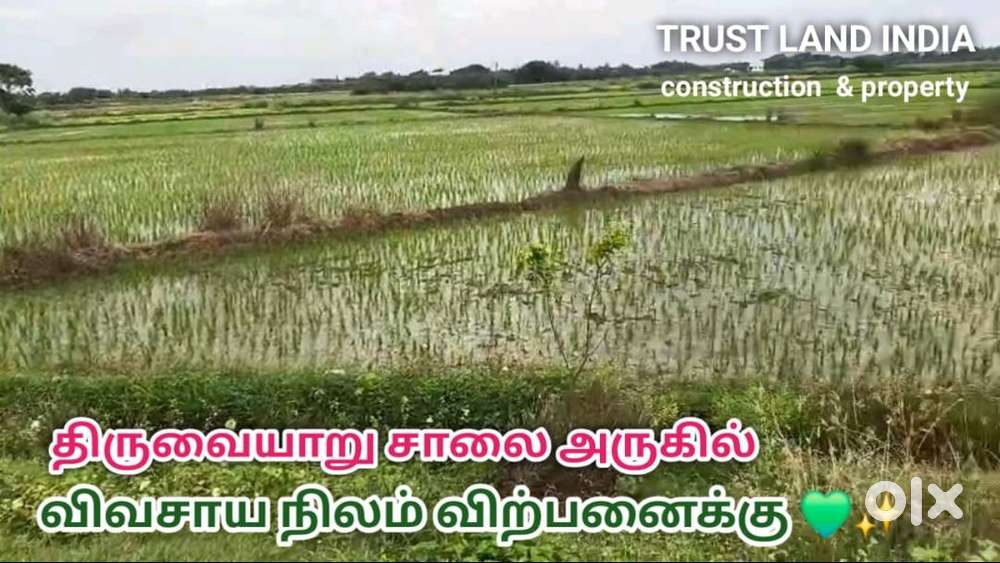 Agricultural Land for Sale on Thanjavur to Thiruvaiyaru Road