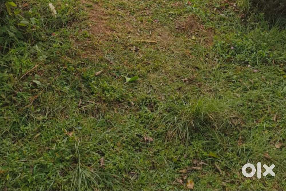 5.5 cents plot for sale opposite to kadambari township