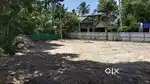11.5  Cents land in Alappuzha.