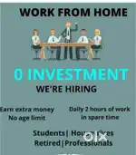 Work from home zero investment