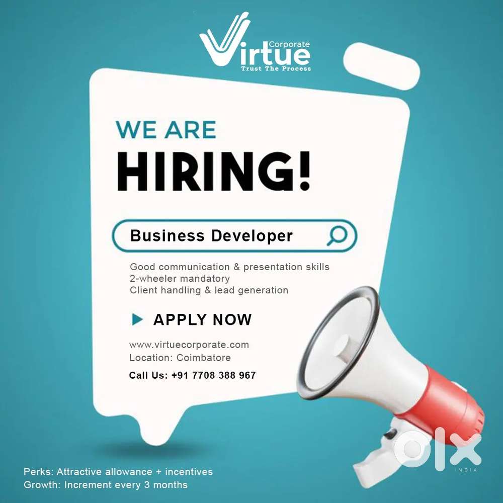 Business developer