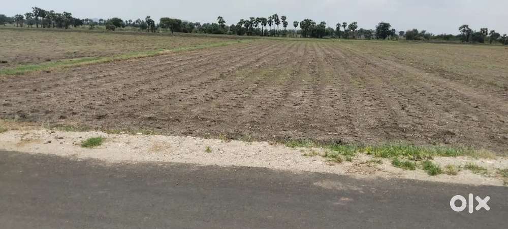 అమరావతి, jalalpuram