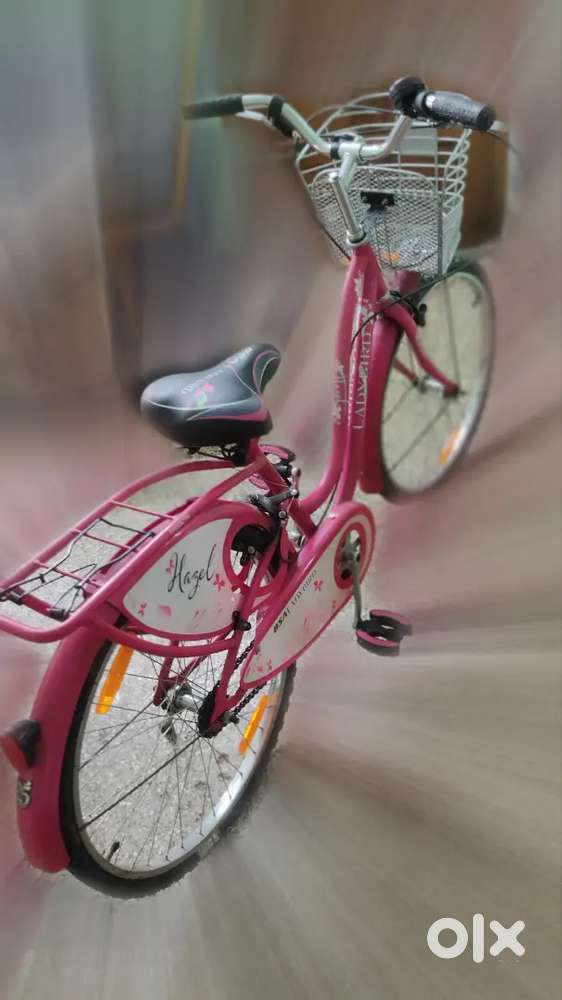 BSA Ladybird Cycle for Sale